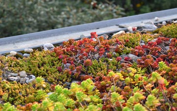 the cost of Netherthird green roof installation