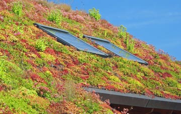 Netherthird living roof systems