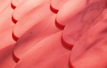 Netherthird plastic roof costs